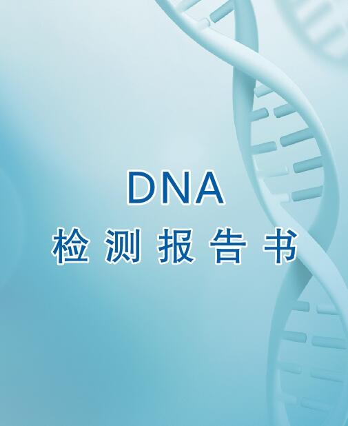 温州亲子鉴定流程之出具报告